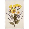 Picture of Dried Flowers II  _GroupedProduct_Rectangle_Portrait_Canvas_Framed_