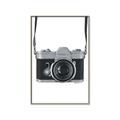 Picture of Vintage Camera  _GroupedProduct_Rectangle_Portrait_Canvas_Framed_