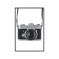 Picture of Vintage Camera  _GroupedProduct_Rectangle_Portrait_Canvas_Framed_