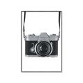 Picture of Vintage Camera  _GroupedProduct_Rectangle_Portrait_Canvas_Framed_