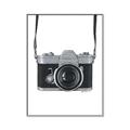Picture of Vintage Camera  _GroupedProduct_Rectangle_Portrait_Canvas_Framed_