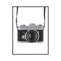 Picture of Vintage Camera  _GroupedProduct_Rectangle_Portrait_Canvas_Framed_