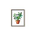 Picture of Aloe Plant _GroupedProduct_Rectangle_Portrait_Canvas_Framed_