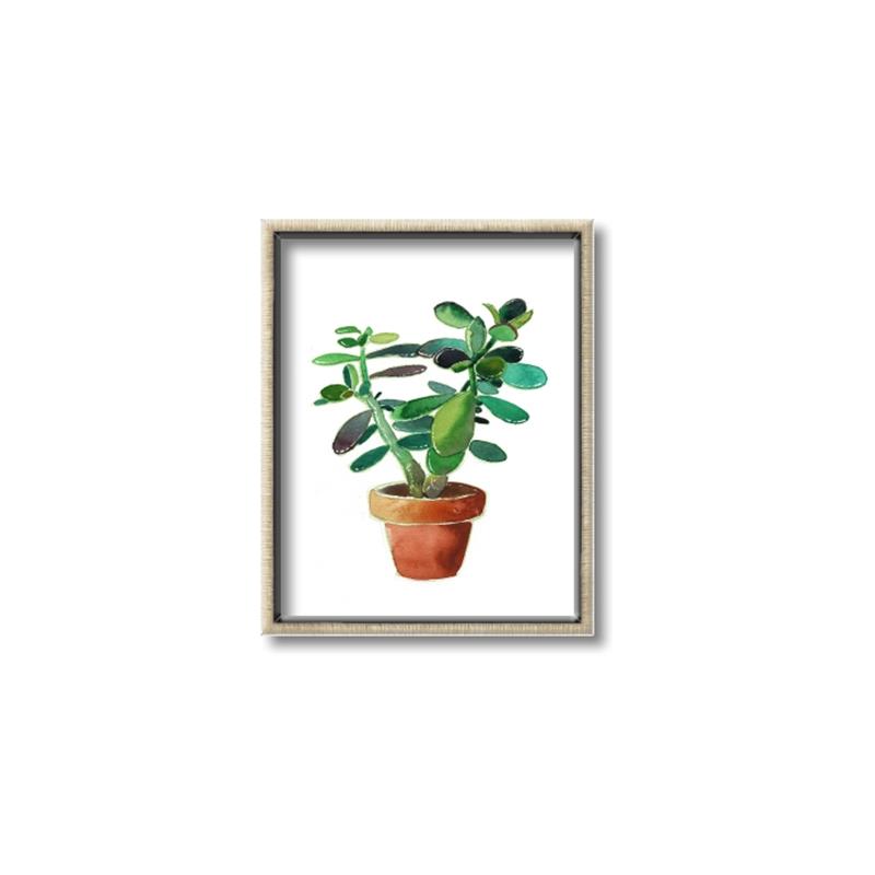 Picture of Aloe Plant _GroupedProduct_Rectangle_Portrait_Canvas_Framed_