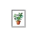 Picture of Aloe Plant _GroupedProduct_Rectangle_Portrait_Canvas_Framed_