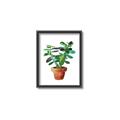 Picture of Aloe Plant _GroupedProduct_Rectangle_Portrait_Canvas_Framed_