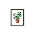Picture of Aloe Plant _GroupedProduct_Rectangle_Portrait_Canvas_Framed_