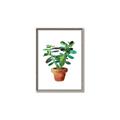 Picture of Aloe Plant _GroupedProduct_Rectangle_Portrait_Canvas_Framed_