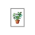 Picture of Aloe Plant _GroupedProduct_Rectangle_Portrait_Canvas_Framed_