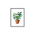 Picture of Aloe Plant _GroupedProduct_Rectangle_Portrait_Canvas_Framed_