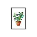 Picture of Aloe Plant _GroupedProduct_Rectangle_Portrait_Canvas_Framed_