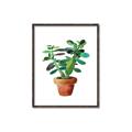 Picture of Aloe Plant _GroupedProduct_Rectangle_Portrait_Canvas_Framed_