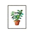 Picture of Aloe Plant _GroupedProduct_Rectangle_Portrait_Canvas_Framed_
