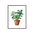 Picture of Aloe Plant _GroupedProduct_Rectangle_Portrait_Canvas_Framed_