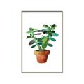 Picture of Aloe Plant _GroupedProduct_Rectangle_Portrait_Canvas_Framed_