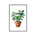 Picture of Aloe Plant _GroupedProduct_Rectangle_Portrait_Canvas_Framed_