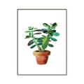 Picture of Aloe Plant _GroupedProduct_Rectangle_Portrait_Canvas_Framed_