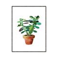 Picture of Aloe Plant _GroupedProduct_Rectangle_Portrait_Canvas_Framed_