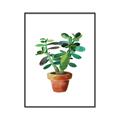 Picture of Aloe Plant _GroupedProduct_Rectangle_Portrait_Canvas_Framed_