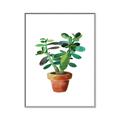 Picture of Aloe Plant _GroupedProduct_Rectangle_Portrait_Canvas_Framed_