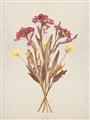 Picture of Dried Flowers I  _GroupedProduct_Rectangle_Portrait_Unframed_Print_Only_