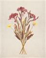 Picture of Dried Flowers I  _GroupedProduct_Rectangle_Portrait_Unframed_Print_Only_