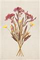 Picture of Dried Flowers I  _GroupedProduct_Rectangle_Portrait_Unframed_Print_Only_