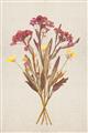 Picture of Dried Flowers I  _GroupedProduct_Rectangle_Portrait_Unframed_Print_Only_