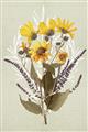 Picture of Dried Flowers with Outline II  _GroupedProduct_Rectangle_Portrait_Unframed_Print_Only_