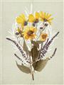 Picture of Dried Flowers with Outline II  _GroupedProduct_Rectangle_Portrait_Unframed_Print_Only_