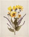 Picture of Dried Flowers II  _GroupedProduct_Rectangle_Portrait_Unframed_Print_Only_