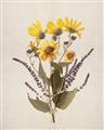 Picture of Dried Flowers II  _GroupedProduct_Rectangle_Portrait_Unframed_Print_Only_