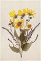 Picture of Dried Flowers II  _GroupedProduct_Rectangle_Portrait_Unframed_Print_Only_