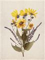 Picture of Dried Flowers II  _GroupedProduct_Rectangle_Portrait_Unframed_Print_Only_