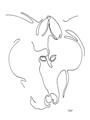 Picture of Line Drawn Horses I _GroupedProduct_Rectangle_Portrait_Unframed_Print_Only_