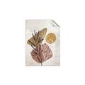 Picture of Geo Botanical II  _GroupedProduct_Rectangle_Portrait_Unframed_Print_Only_