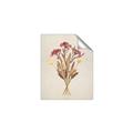 Picture of Dried Flowers I  _GroupedProduct_Rectangle_Portrait_Unframed_Print_Only_