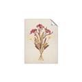 Picture of Dried Flowers I  _GroupedProduct_Rectangle_Portrait_Unframed_Print_Only_