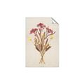 Picture of Dried Flowers I  _GroupedProduct_Rectangle_Portrait_Unframed_Print_Only_