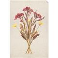 Picture of Dried Flowers I  _GroupedProduct_Rectangle_Portrait_Unframed_Print_Only_