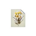 Picture of Dried Flowers with Outline II  _GroupedProduct_Rectangle_Portrait_Unframed_Print_Only_
