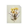 Picture of Dried Flowers with Outline II  _GroupedProduct_Rectangle_Portrait_Unframed_Print_Only_