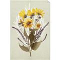 Picture of Dried Flowers with Outline II  _GroupedProduct_Rectangle_Portrait_Unframed_Print_Only_