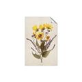 Picture of Dried Flowers II  _GroupedProduct_Rectangle_Portrait_Unframed_Print_Only_