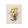 Picture of Dried Flowers II  _GroupedProduct_Rectangle_Portrait_Unframed_Print_Only_