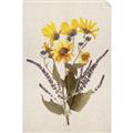 Picture of Dried Flowers II  _GroupedProduct_Rectangle_Portrait_Unframed_Print_Only_