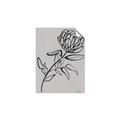 Picture of Gray Floral  _GroupedProduct_Rectangle_Portrait_Unframed_Print_Only_