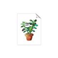 Picture of Aloe Plant _GroupedProduct_Rectangle_Portrait_Unframed_Print_Only_