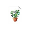 Picture of Aloe Plant _GroupedProduct_Rectangle_Portrait_Unframed_Print_Only_