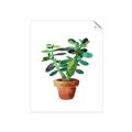Picture of Aloe Plant _GroupedProduct_Rectangle_Portrait_Unframed_Print_Only_